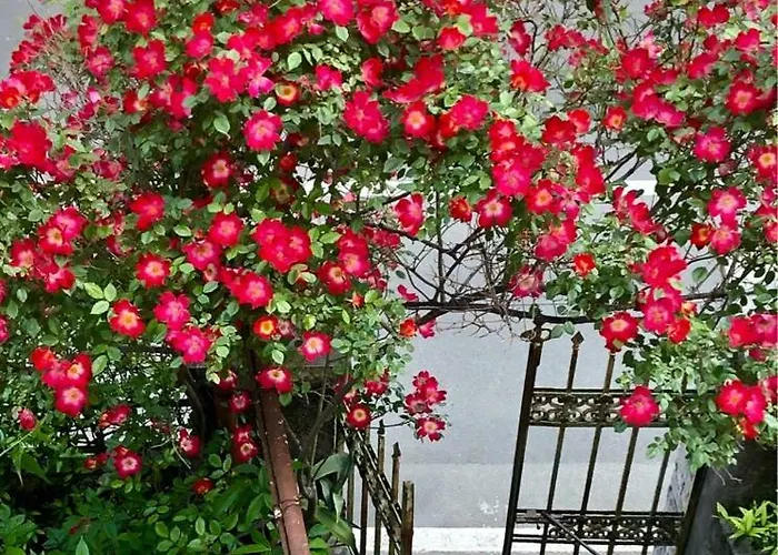 펜션 Onde House Le Grazie 포르토베네레